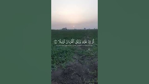 آيات من سورة المزمل بصوت القارئ عبدالرحمن مسعد.....