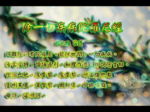 除一切疾病陀羅尼經 |消災解厄 解冤釋結 祛病解疫 日日念 增福慧 防治武漢肺炎 勤洗手 戴口罩 不去密閉人多空間 板金清肺湯 請見影片說明| 道之途