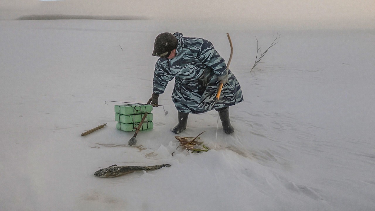Рыбалка на налима. Хариус. Голец. Полярный Урал. Сетями. Карское море | С полем! Лучшие выпуски