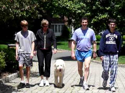 JJ Loy: Dog Training - www.jjLoy.com. - BOB AND FRAN & FAMILY AND THEIR REFORMED BITER, "BAILY'