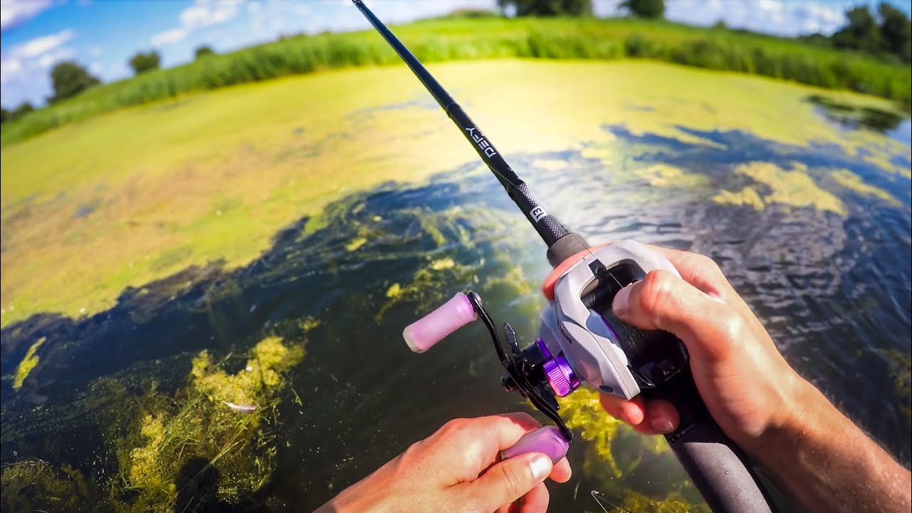 Les Poissons sont Bien Cachés dans les Herbiers! "Fishing OD" !