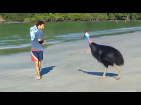 Jackhammer Male Enhancement Pills [nDVSdr4HOw]