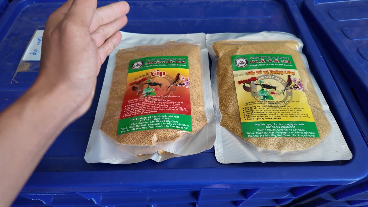 Cám Chim Hút Mật 2 Tuần Trước Tết #chimhutmat #camchim