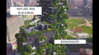 Biomimicry: Nature’s Blueprint for Innovation in 4 Minutes