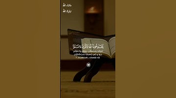 وَمِنَ النَّاسِ مَن يَقُولُ آمَنَّا بِاللَّهِ / القارئ ابراهيم شرف ابوطالب