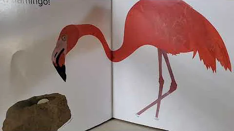 An Animal Guessing Game - Who Am I by Steve Jenkin...