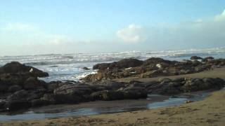 Oregon Coast surprise