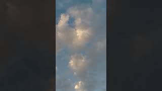 Download Lagu #music #arabic #топ #mohila #nature #sadnasheeds #alaminabedi #tiger #hummingnasheed MP3