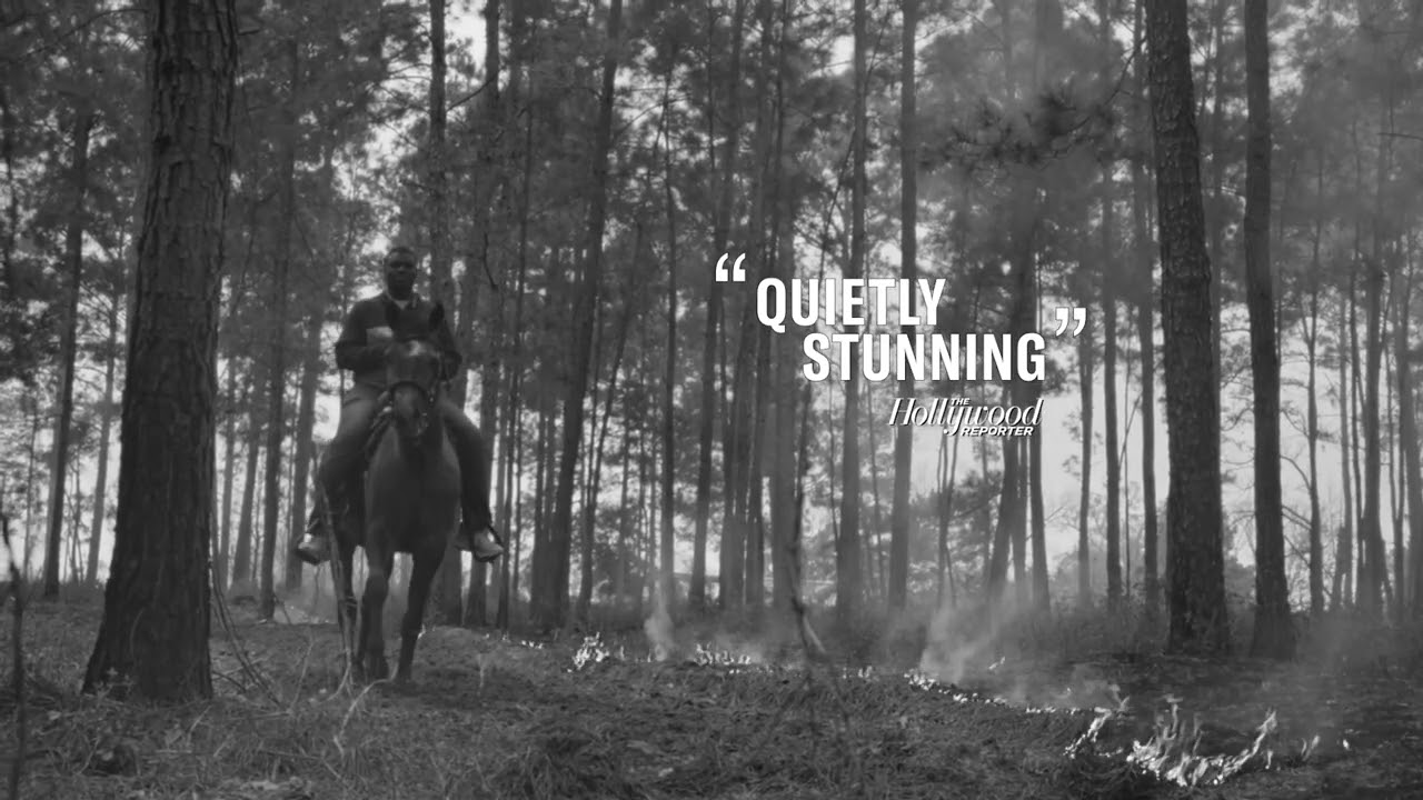 Seeds official trailer - 2025 True/False selection, Sundance Grand Jury Prize winner and Oscar-shortlisted documentary about Black farmers