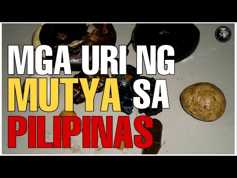 Video: Ang pinakamagandang pangalan ng lalaki: kahulugan, kasaysayan ng pinagmulan, anting-anting, mga araw ng pangalan, ang impluwensya ng pangalan sa karakter at kapalaran ng isang tao