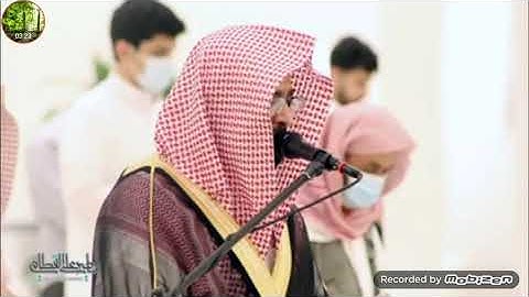تلاوة رائعة ( مقام البيات) للشيخ ناصر القطامي