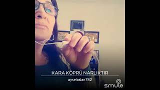 Kara köprü narlıktır. Aysel Aslan Resimi