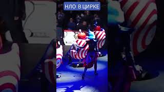 Цирк Никулина,цирк цветной бульвар,экстримальное шоу,арбалет,стрельба из арбалела