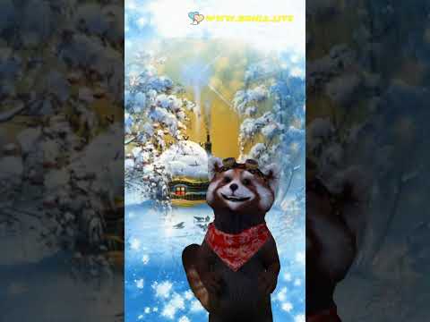 С Днем Святого Николая тебя!!