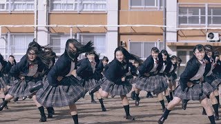 Miniatura de "登美丘高校ダンス部、ついにハリウッド映画「グレイテスト・ショーマン」とコラボ！　制服姿で踊る　感動のPV完成 The Greatest Showman"