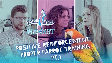 Positive Reinforcement: Proper Parrot Training Pt.1 | S02 E04 | Parrot Stars Podcast