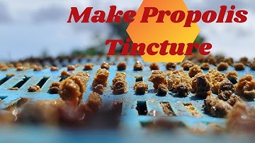 ☯️ Beekeeping Crafts | Making Propolis Tincture