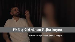 Erkan Acar - Bir Kuş Gibi Çıksam Dağlar Başına (Altan Başyurt Müzik Yapım) Resimi