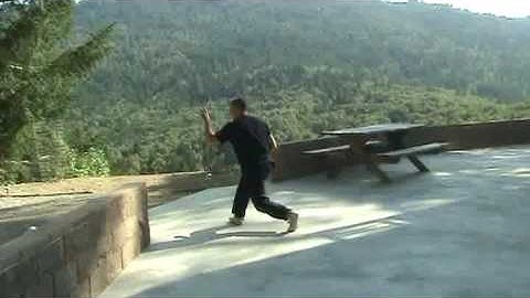 Taijiquan Yang Style long form-2nd section