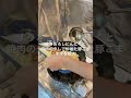 【中華鍋】焼肉チャーハンを作ってみた #shorts　#炒飯 #カップ麺