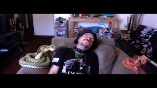 KingCobrajfs gets drunk on his own home made brew and falls asleep