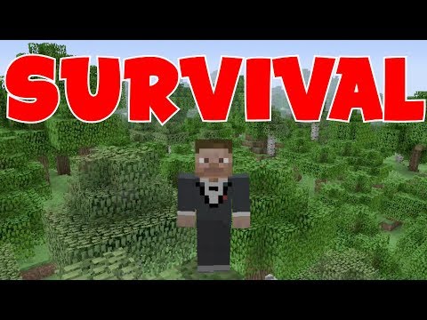 pc remote Minecraft Bedrock Community Survival