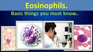 Eosinophils (Basic things you must know)