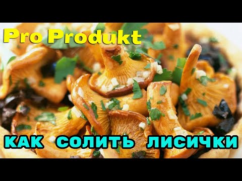 Как солить лисички вкусными