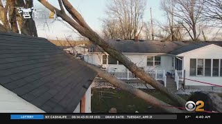Suspected Tornado Scatters Trees Across Toms River