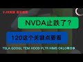 2月28日 美股直播 NVDA雨过天晴止跌了吗？120这个关键点还是得注意！ TSLA NVDA AMZN HOOD QQQ TEM HIMS 等分享
