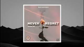 Sean Rii - Never Regret (Remix)