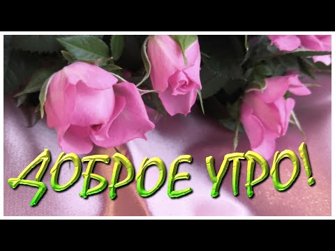 Доброе утро! Доброе Утречко! #открытка