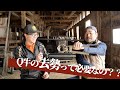 動物虐待？？。去勢は美味しいお肉に欠かせません。