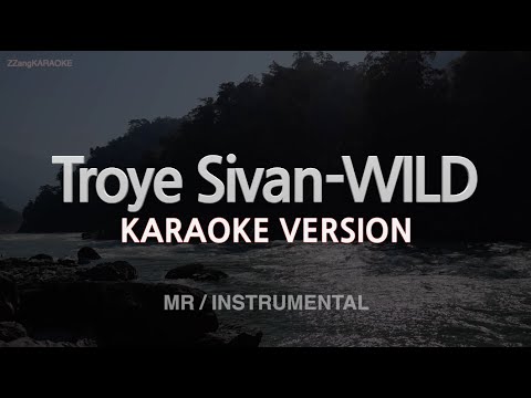 Troye Sivan WILD MR Instrumental Karaoke Version 