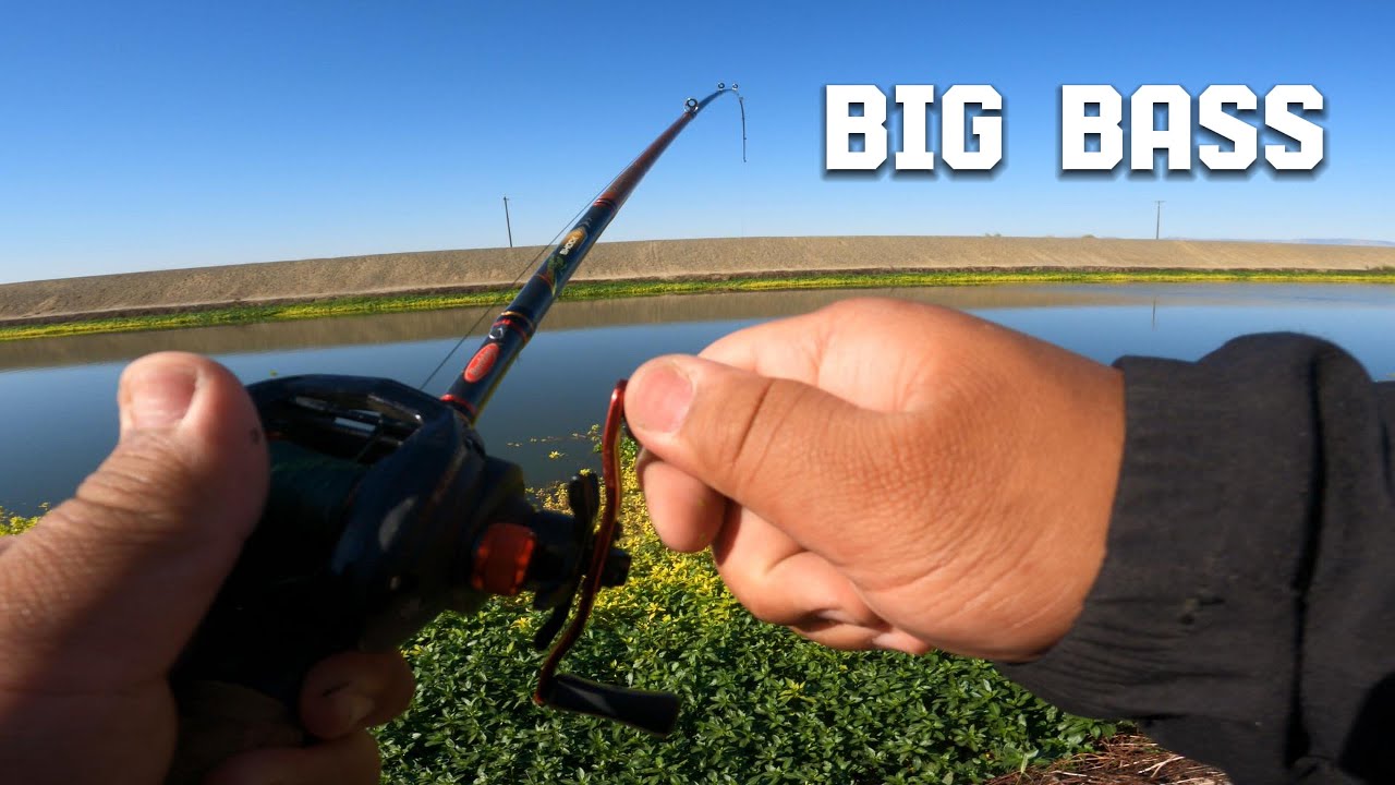 DMC Bass Fishing