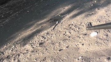 Splitting a Playing Card in Mid Air