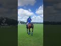 Vroom🐴