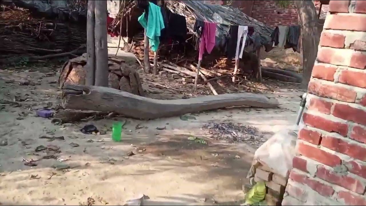 New vlogs nana ji ka ghar 🤗 #vlog #500kview #dailyvideo #viral #minivlog 