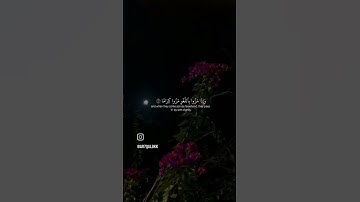 قرآن كريم أستغفر الله و أتوب إليه 🤍📿🕊️ #quran #اكسبلور #قرآن #ماهر_المعيقلي