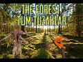 The Forest Tüm Tuzaklar İnceleme