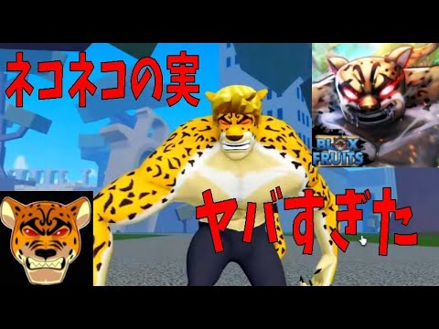 ネコネコの実、全技紹介　Neko Neko no Mi, All Techniques Introduction　Blox Fruits攻略その54【ROBLOX(ロブロックス)】