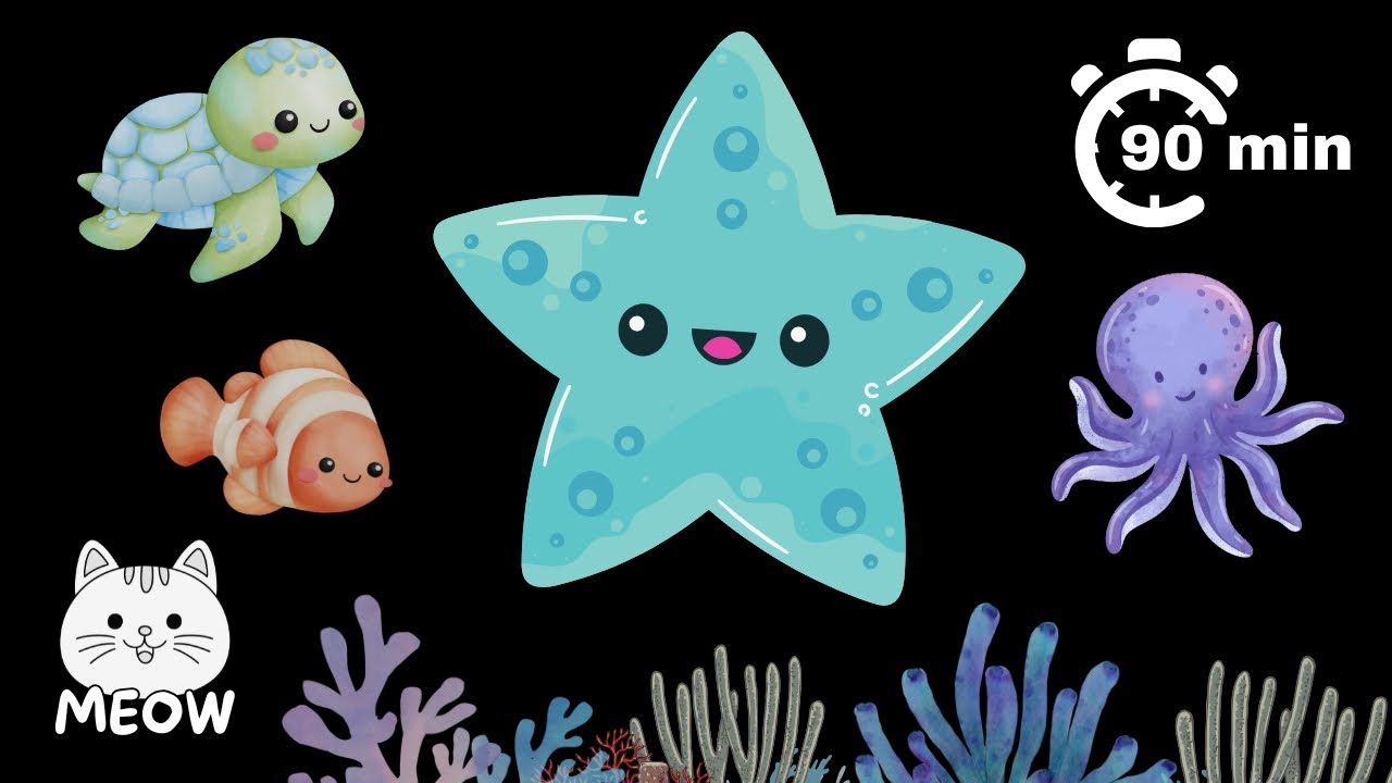 Dancing Starfish and Friends | High Contrast Baby Sensory Video - YouTube