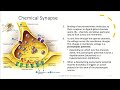Nervous System part 3