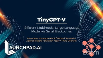 Fellowship: TinyGPT-V: Efficient Multimodal Large Language Model via Small Backbones