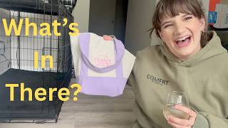 What's In My Bag | What Fits In the Trader Joes Mini Tote Bag