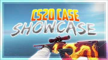 CS:GO | CS20 Case - [All Skins Showcase]