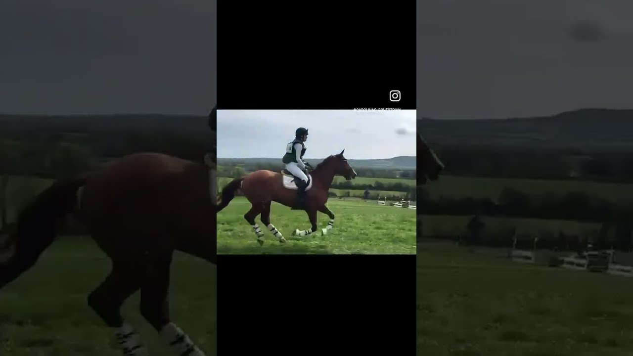 Advert reference - 411328
