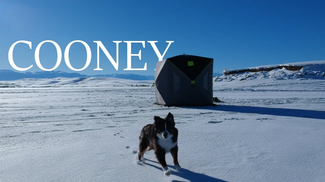 EARLY ICE - Ice Fishing at Cooney Reservoir (Fishing Montana) - YouTube