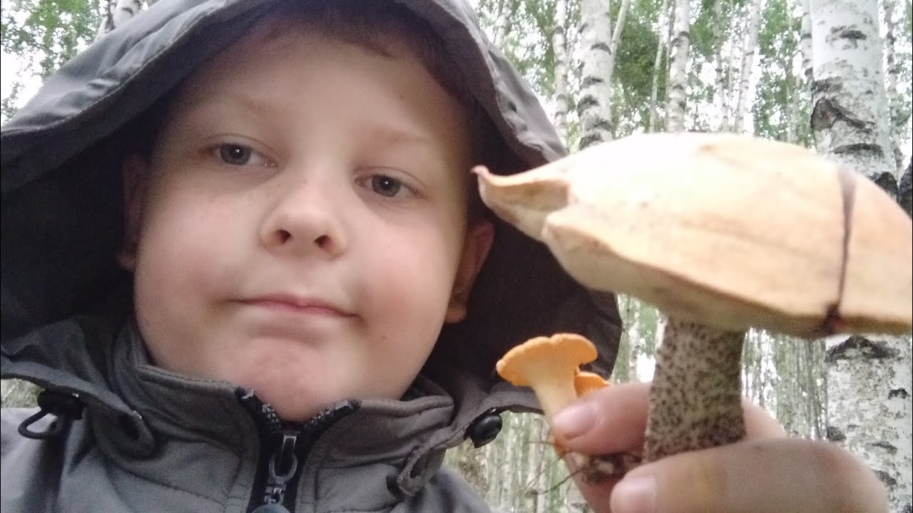 собираю грибы часть 3 - YouTube