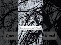 Секатор Mihoto + штанга